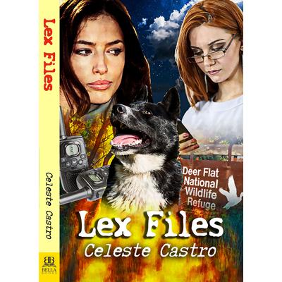 Lex Files