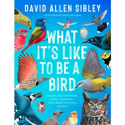 What It’s Like to Be a Bird (Adapted for Young Readers)