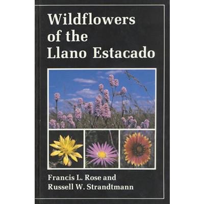 Wildflowers of the Llano Estacado