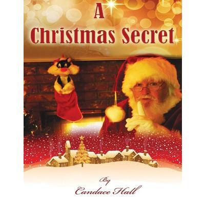 A Christmas Secret