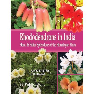 Rhododendrons in India
