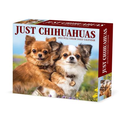 Chihuahuas 2022 Box Calendar - Dog Breed Daily Desktop Calendar