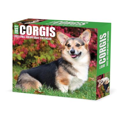 Corgis 2022 Box Calendar - Dog Breed Daily Desktop