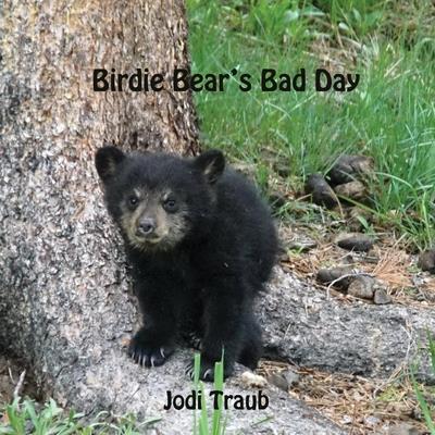 Birdie Bear’s Bad Day