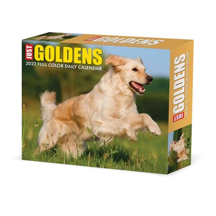 Golden Retrievers 2022 Box Calendar - Dog Breed Daily Desktop