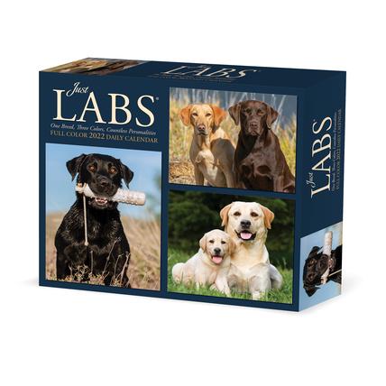 Labs 2022 Box Calendar - Dog, Labrador Retrievers Daily Desktop