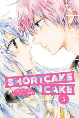 Shortcake Cake 5