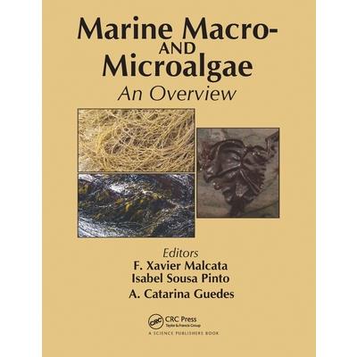 Marine Macro- And Microalgae