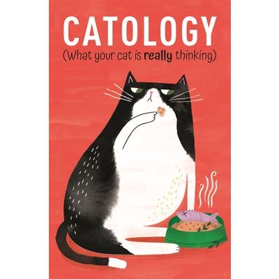 Catology | 拾書所