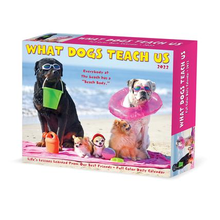 What Dogs Teach Us 2022 Box Calendar, Daily Desktop
