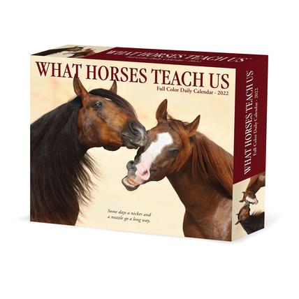 What Horses Teach Us 2022 Box Calendar, Daily Desktop