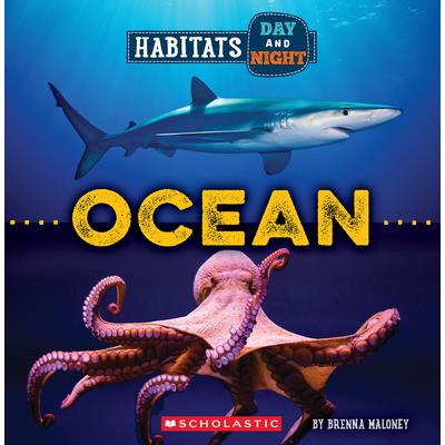 Ocean (Wild World: Habitats Day and Night)