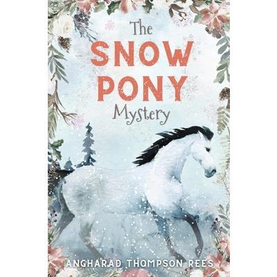 The Snow Pony Mystery