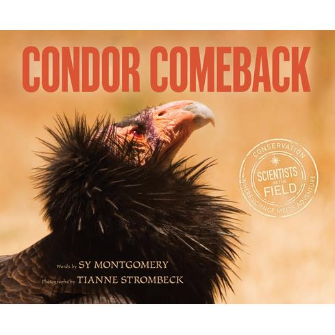 Condor Comeback | 拾書所