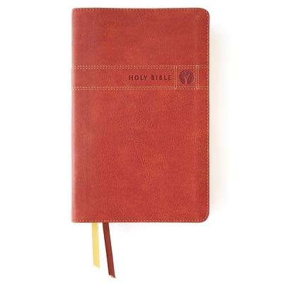 Niv, Men’s Devotional Bible, Leathersoft, Brown, Comfort Print