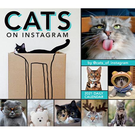 2021 Cats on Instagram Boxed Daily Calendar