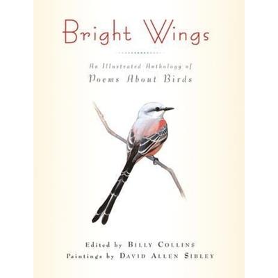 Bright Wings