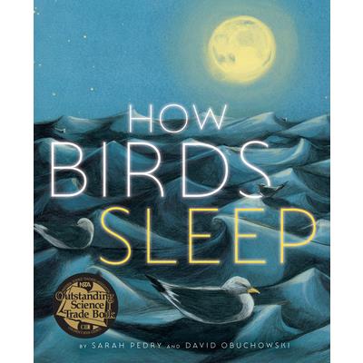 How Birds Sleep | 拾書所