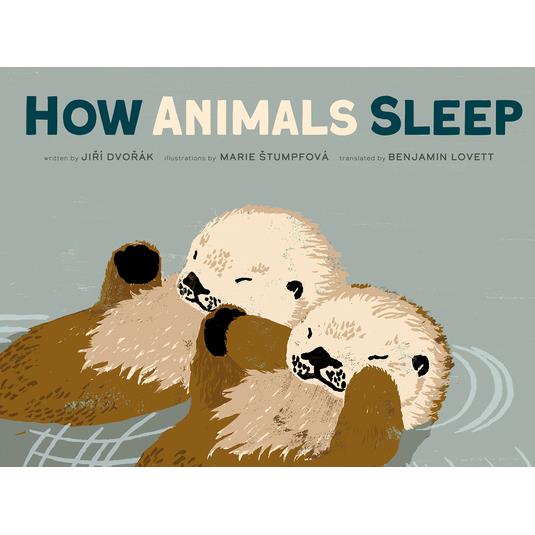 How Animals Sleep