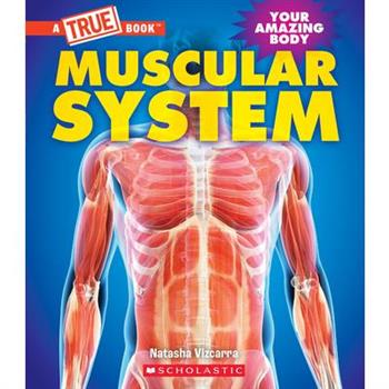 Muscular System (a True Book: Your Amazing Body)