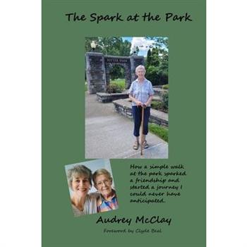The Spark at the Park