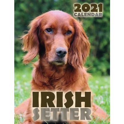 Irish Setter 2021 Calendar