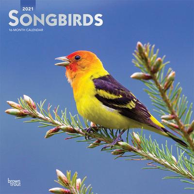 Songbirds 2021 Square Foil