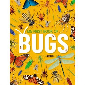 My First Book of Bugs