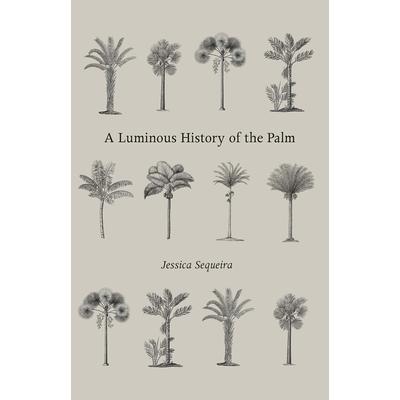 A Luminous History of the Palm
