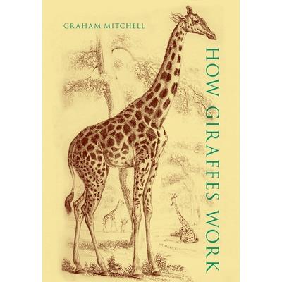 How Giraffes Work