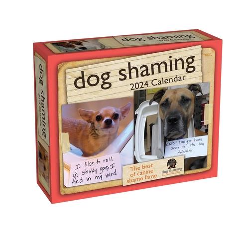 Dog Shaming 2024 Day-To-Day Calendar