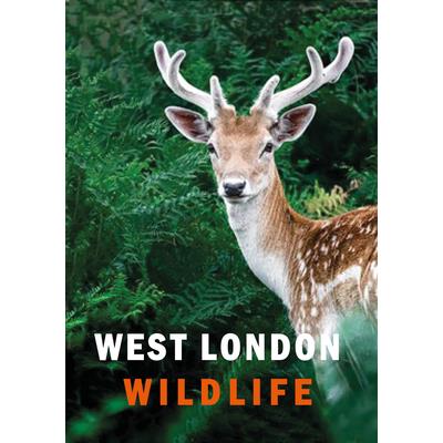 West London Wildlife