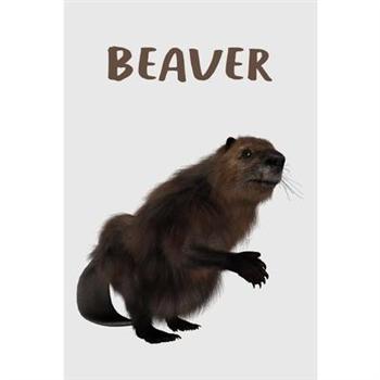 Beaver Journal