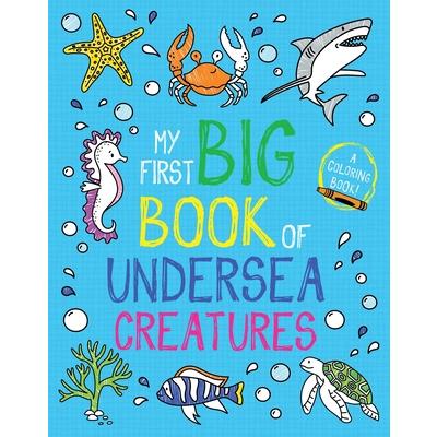 My First Big Book of Undersea Creatures