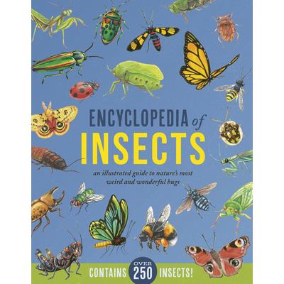 Encyclopedia of Insects | 拾書所