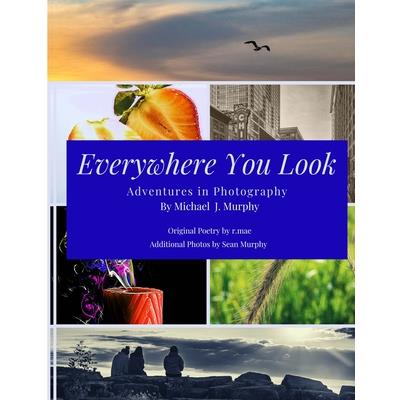 Everywhere You Look | 拾書所