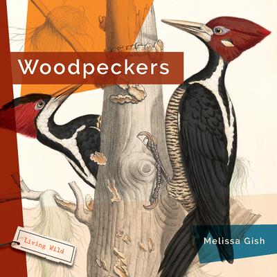 Woodpeckers | 拾書所