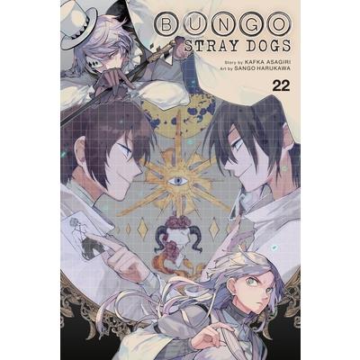 Bungo Stray Dogs, Vol. 22