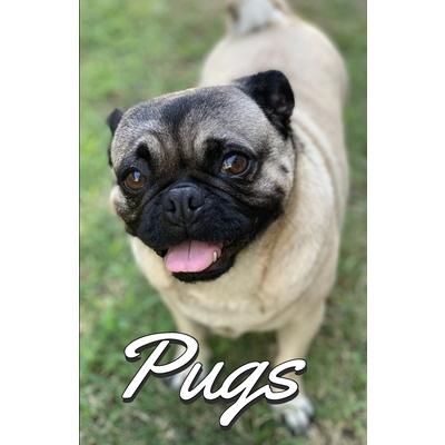 Pugs Photo Book for Writing and Note Taking | 拾書所