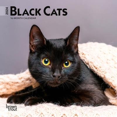 Black Cats 2024 Mini 7x7
