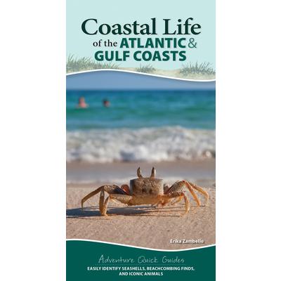 Coastal Life of the Atlantic and Gulf Coasts