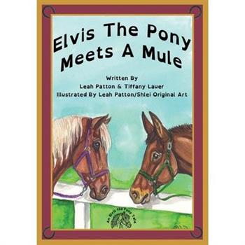 Elvis the Pony Meets a Mule