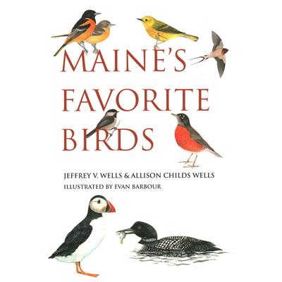 Maine’s Favorite Birds