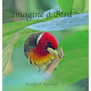 Imagine a Bird