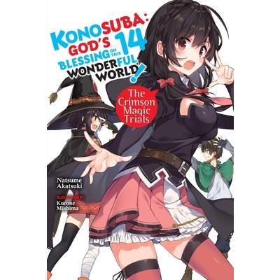 Konosuba: God’s Blessing on This Wonderful World!, Vol. 14 (Light Novel)