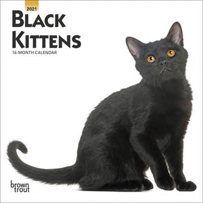 Black Kittens 2021 Mini 7x7