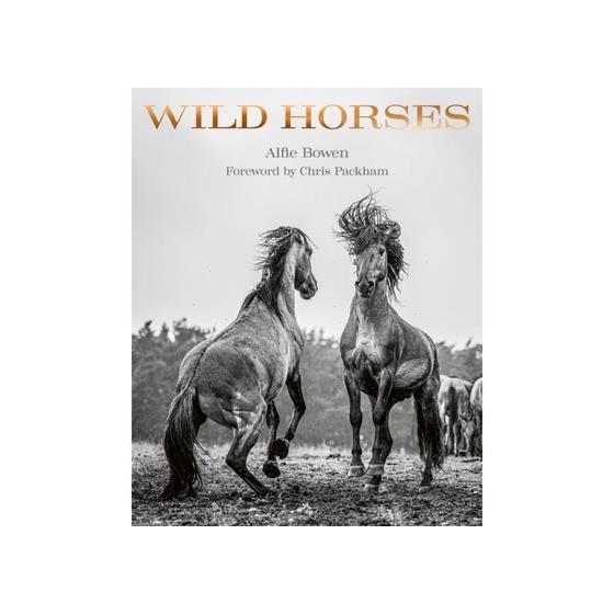 Wild Horses