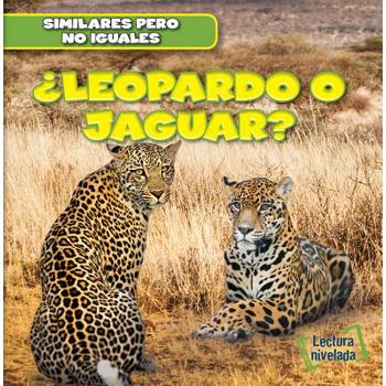 聶Leopardo O Jaguar? (Leopard or Jaguar?)