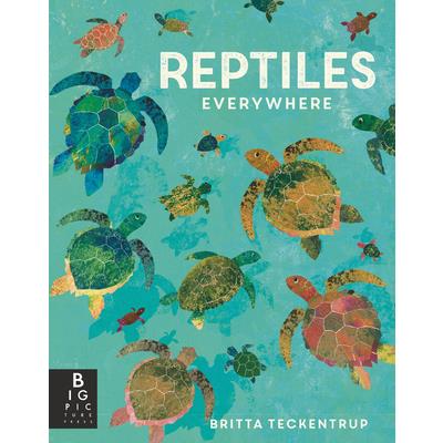 Reptiles Everywhere | 拾書所