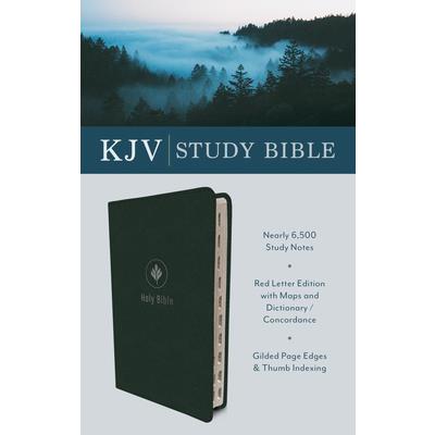 The KJV Study Bible (Indexed) [Evergreen Fog]